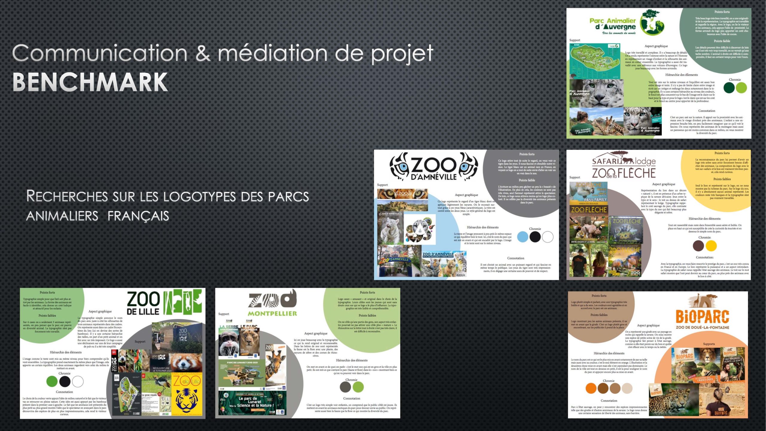 Dessins analytiques - Lycée St Géraud